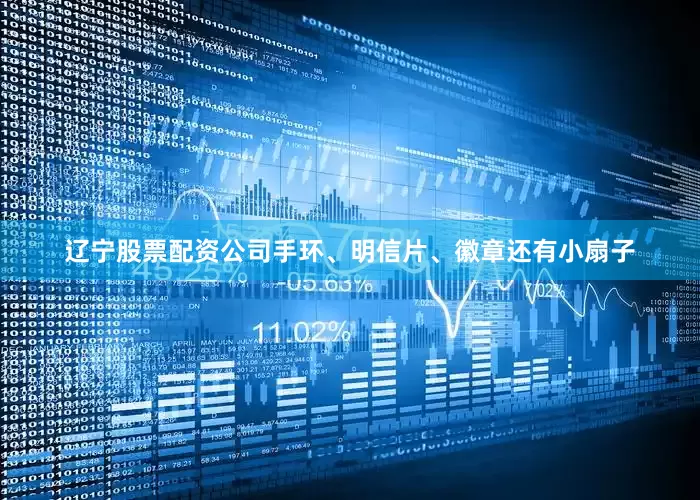 辽宁股票配资公司手环、明信片、徽章还有小扇子