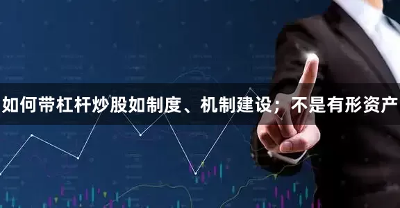 如何带杠杆炒股如制度、机制建设；不是有形资产